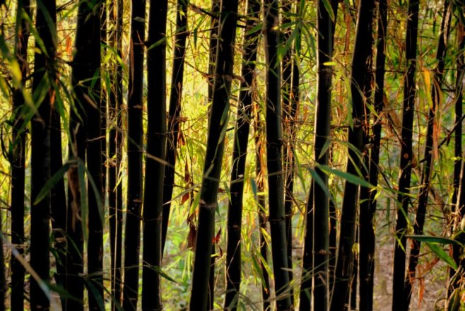 417600_10100373687114999_700370765_n