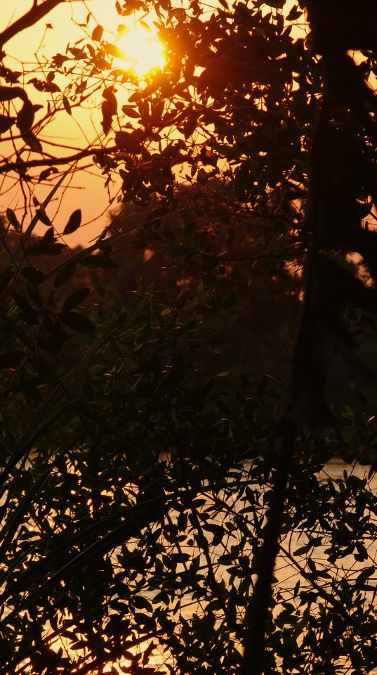 420329_10100373688322579_884631825_n