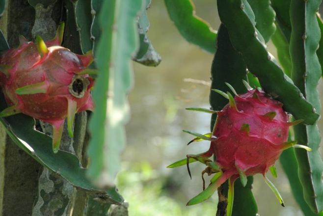 422443_10100373693676849_920782441_n