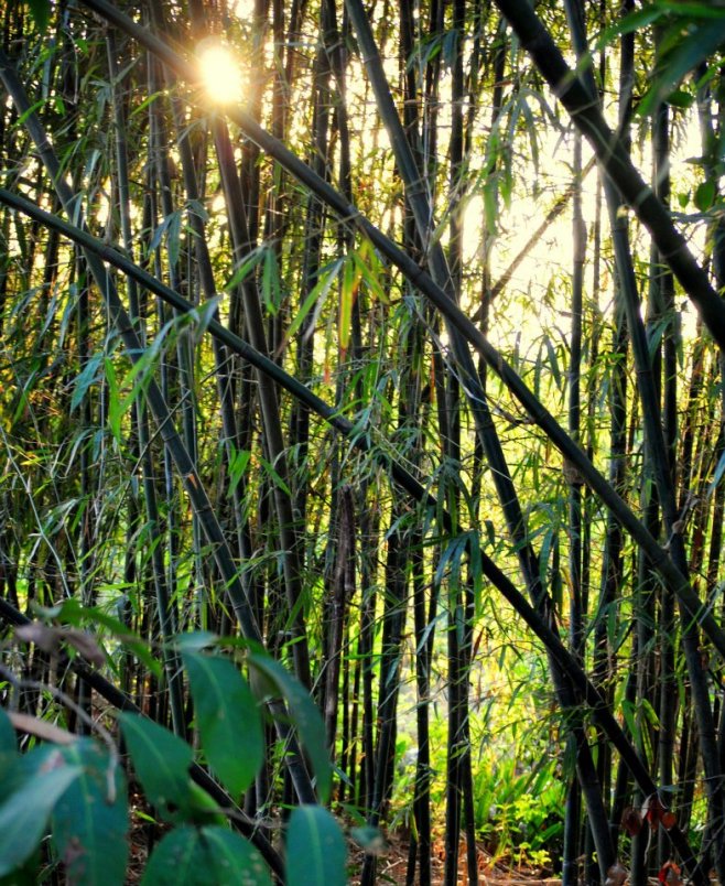 424889_10100373687758709_1875012594_n