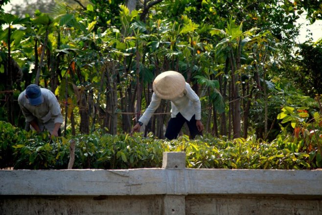 426366_10100373689689839_1866983780_n