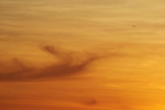 429722_10100373692005199_2033306728_n