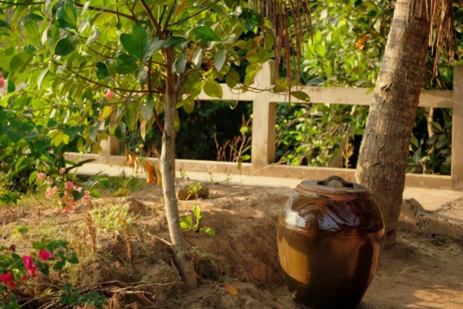 431196_10100373689265689_453705303_n