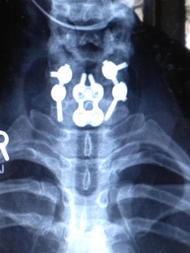 528110_10100391453780459_1011428131_n