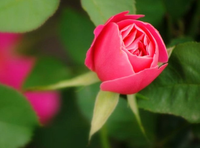 376962_10100595195954509_998222008_n