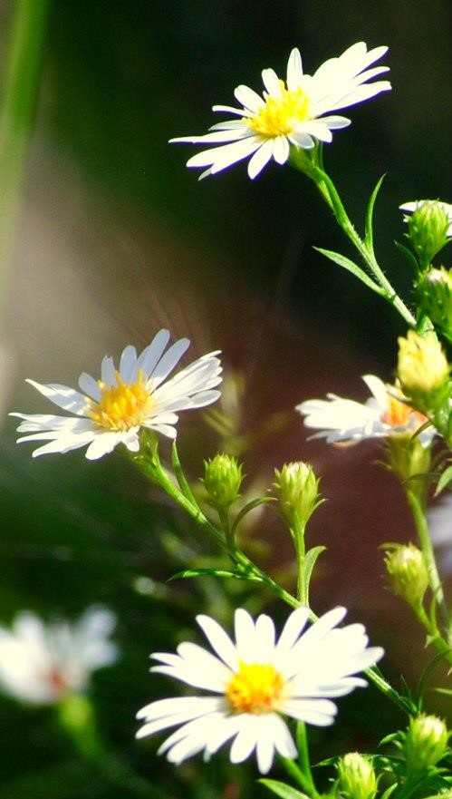 406944_10100653666010049_1617444584_n