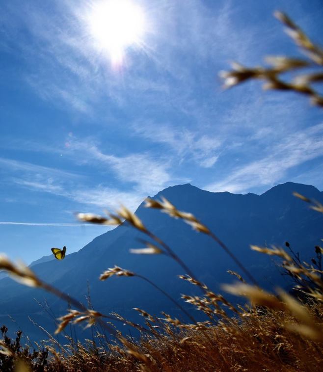 21032332_10103736385540399_9145119982295532443_n