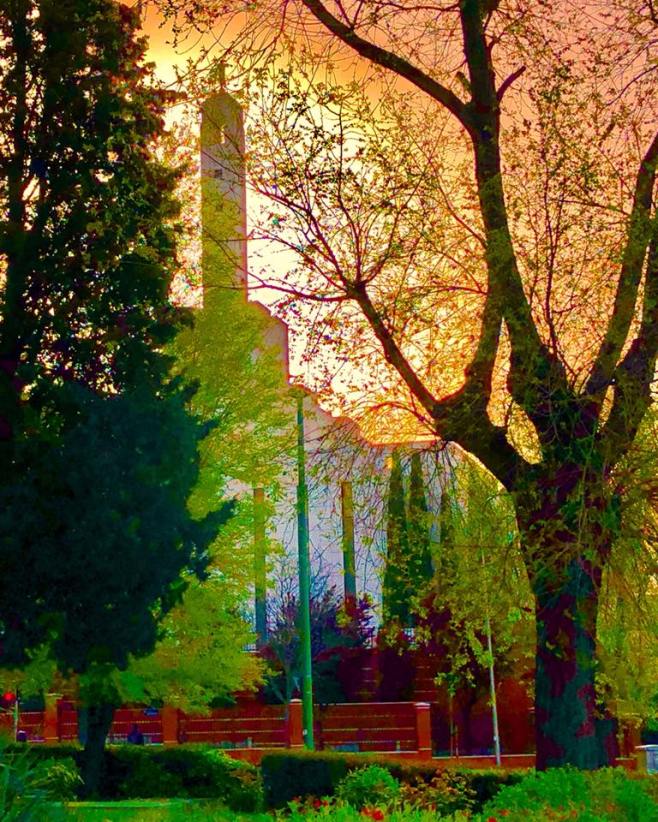 31164160_10104284640458149_5382870839587849974_n