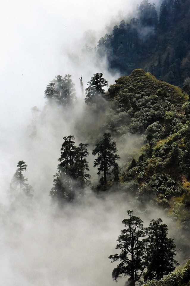 44783342_10104629499767329_6543241783348822016_n