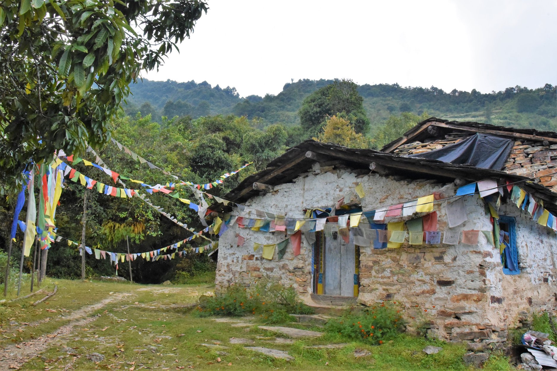 44876446_10104629504198449_125678164784447488_o