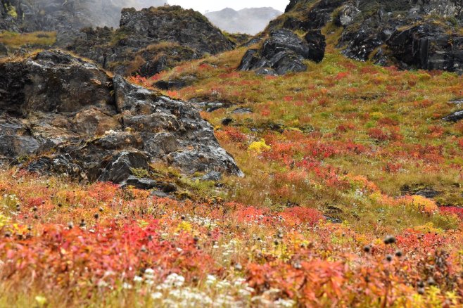 44953727_10104629508918989_6714710767729377280_o