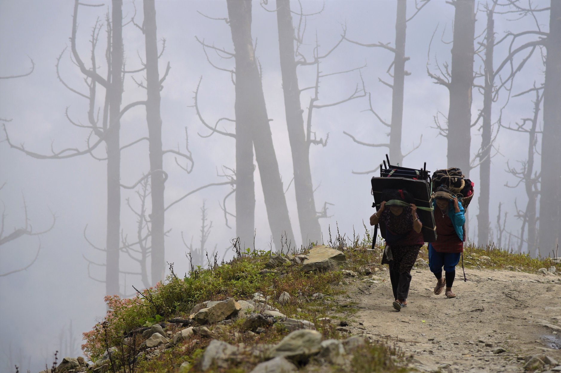 44953735_10104629493958969_7510509336561451008_o