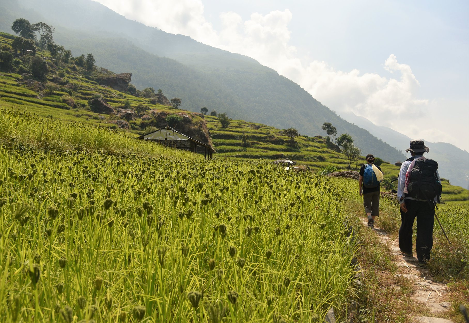 44961157_10104629539118469_3727926772776304640_o