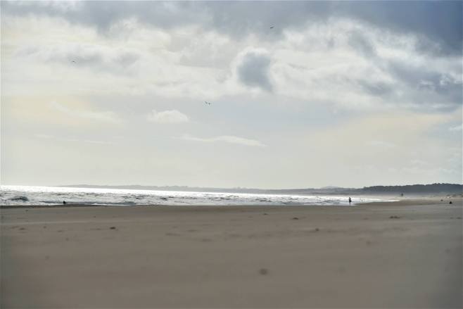 47471011_10104701768145919_8570932299472830464_o