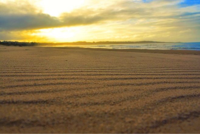 47486305_10104700288660819_5726904904245575680_n