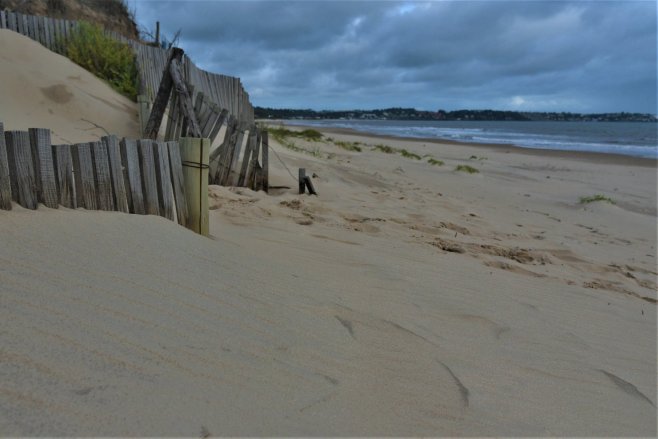 47575174_10104701769588029_199954259754614784_o