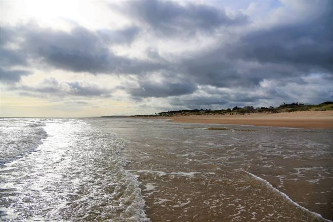 47580523_10104701772482229_7061334466970517504_o