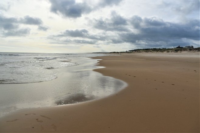 47680573_10104701768440329_4994751230979866624_o