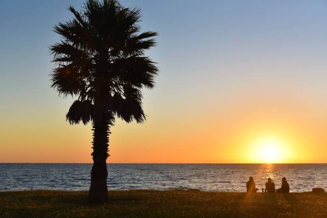 47682435_10104701770291619_1347151608043012096_o