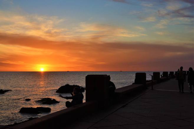 47684365_10104701767013189_3208711294509121536_o