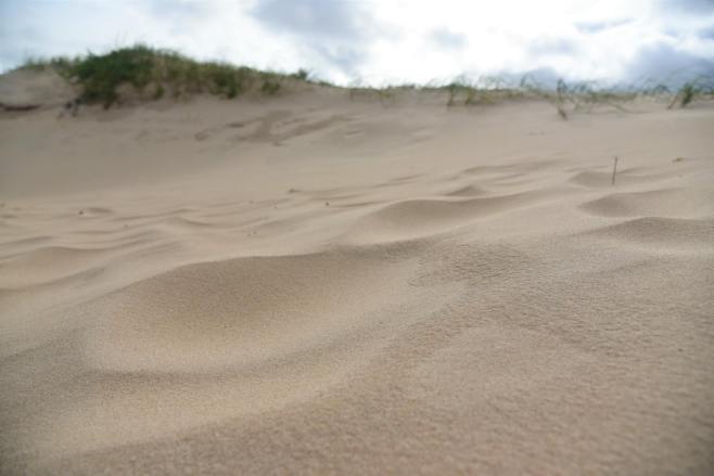 48080553_10104701771374449_453787496963112960_o